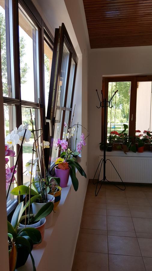 Balaton Panzio Bed & Breakfast Balatonberény Exterior foto